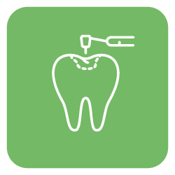 Fillings & Sealants